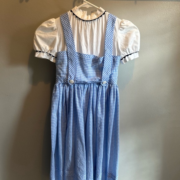 Dorothy Wizard of Oz Costume - Picture 2 of 5
